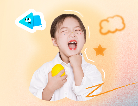 蚂蚁分类信息系统